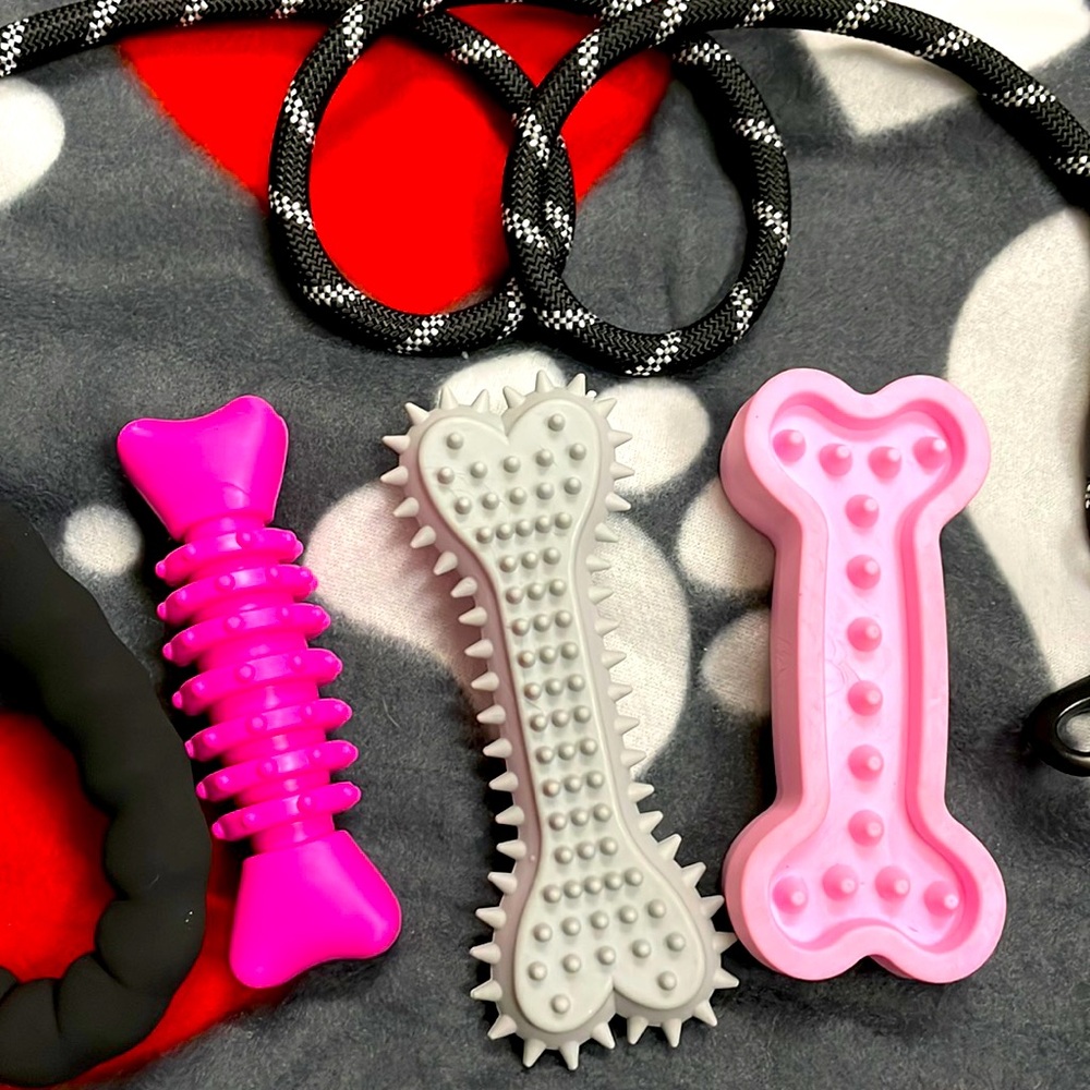 🆕Brand New 🆕🐾 Pet Packs 🐾 Dog Toys & Leash Combo 🆕🦴🐾Medium to Large - Picture 4 of 5
